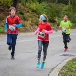 WL2018-236