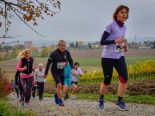 WL2018-511