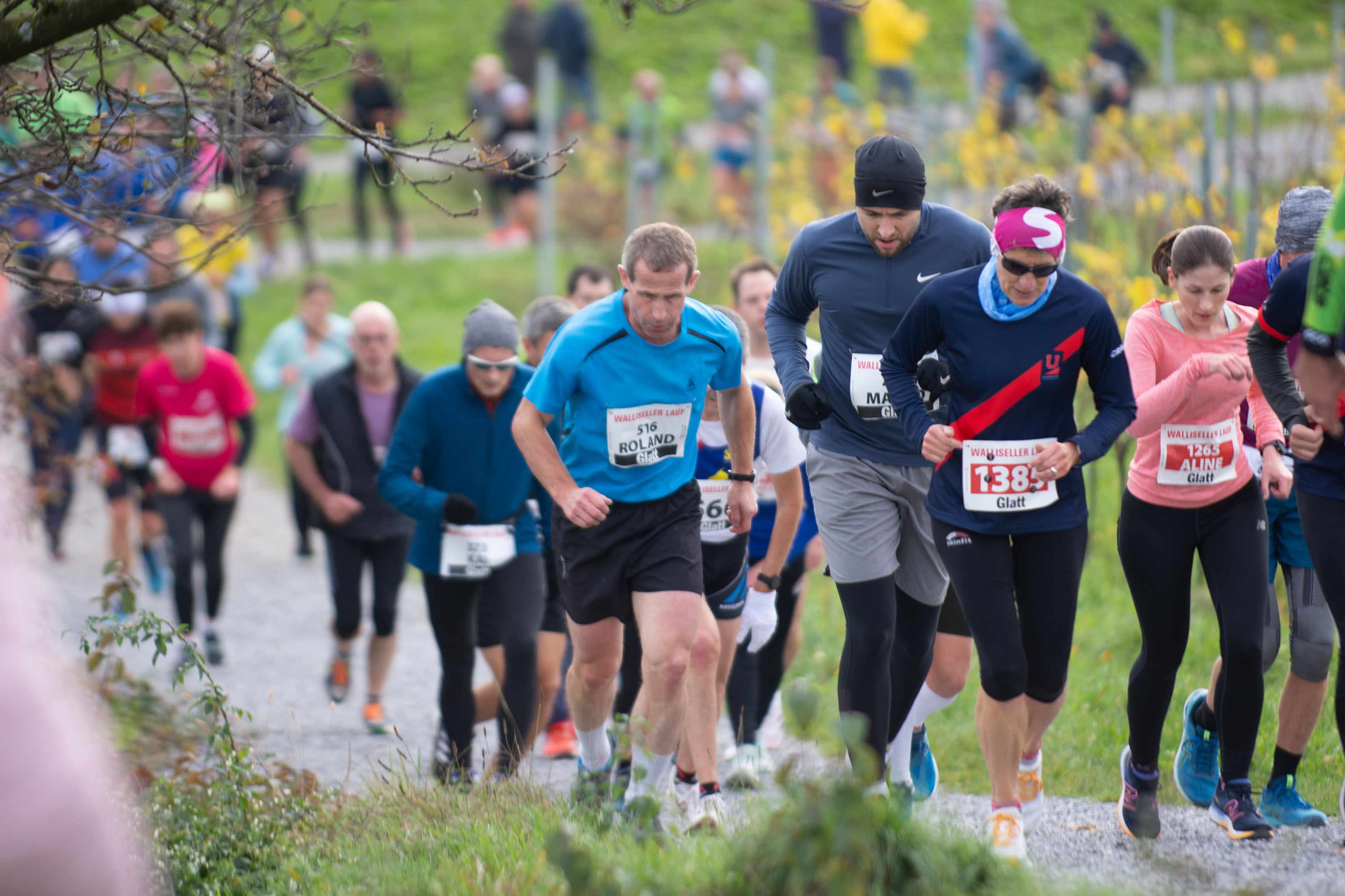 Wallisellen Lauf 2022